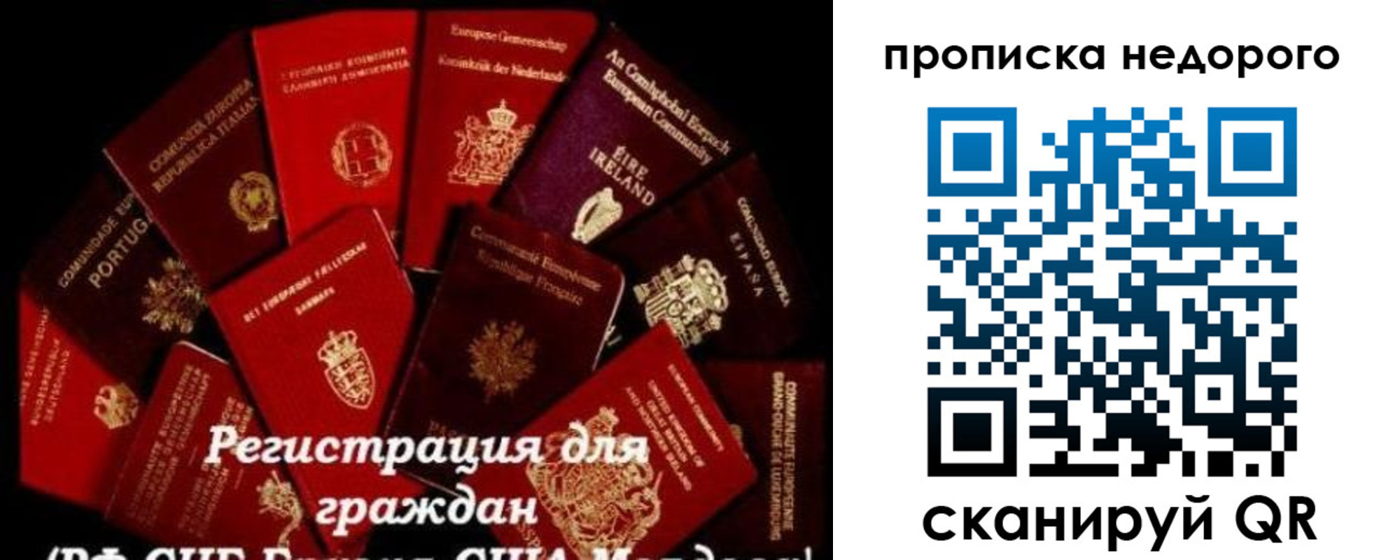 временная регистрация недорого в Карелии